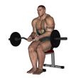 Reverse Curl - Seated EZ Bar Close Narrow